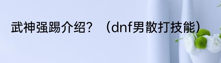 武神强踢介绍？（dnf男散打技能）