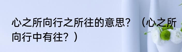 心之所向行之所往的意思？（心之所向行中有往？）