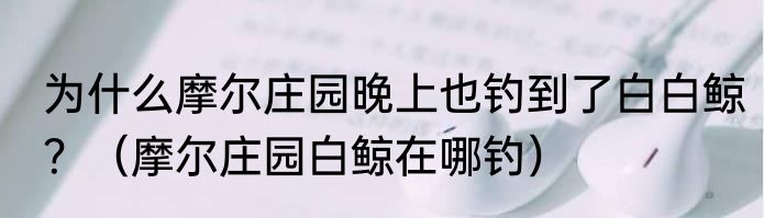 为什么摩尔庄园晚上也钓到了白白鲸？（摩尔庄园白鲸在哪钓）