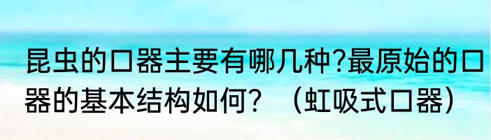 昆虫的口器主要有哪几种?最原始的口器的基本结构如何？（虹吸式口器）