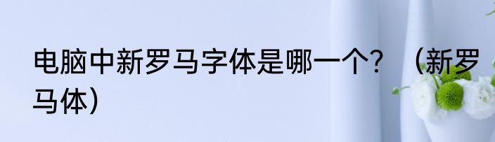 电脑中新罗马字体是哪一个？（新罗马体）