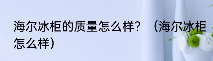 海尔冰柜的质量怎么样？（海尔冰柜怎么样）