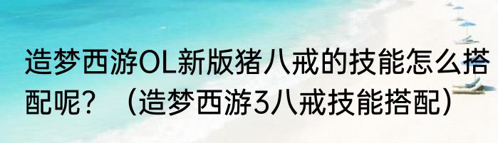 造梦西游OL新版猪八戒的技能怎么搭配呢？（造梦西游3八戒技能搭配）