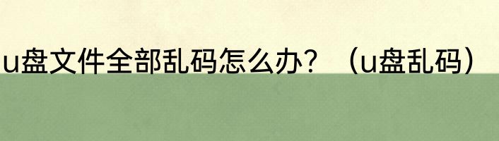 u盘文件全部乱码怎么办？（u盘乱码）
