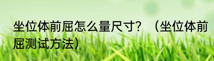 坐位体前屈怎么量尺寸？（坐位体前屈测试方法）