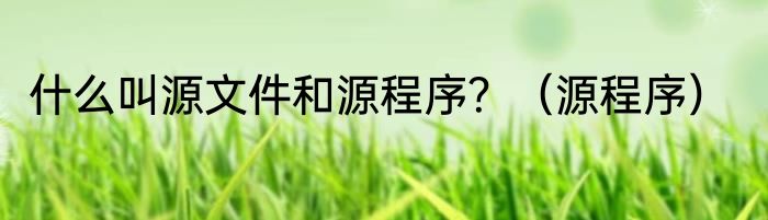 什么叫源文件和源程序？（源程序）