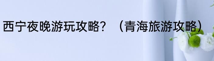 西宁夜晚游玩攻略？（青海旅游攻略）