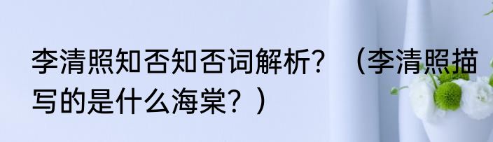 李清照知否知否词解析？（李清照描写的是什么海棠？）