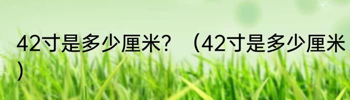42寸是多少厘米？（42寸是多少厘米）