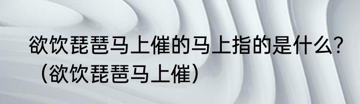 欲饮琵琶马上催的马上指的是什么？（欲饮琵琶马上催）