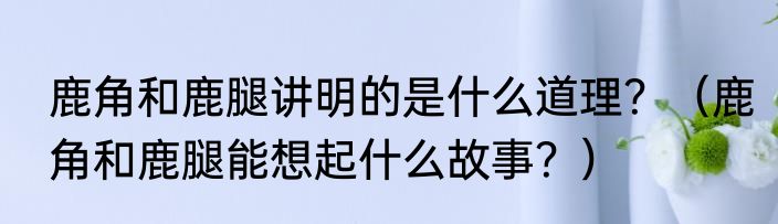 鹿角和鹿腿讲明的是什么道理？（鹿角和鹿腿能想起什么故事？）