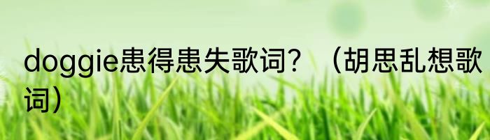 doggie患得患失歌词？（胡思乱想歌词）