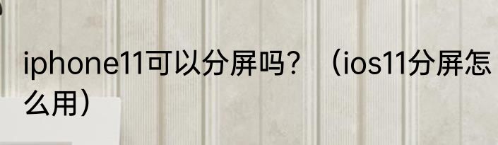 iphone11可以分屏吗？（ios11分屏怎么用）
