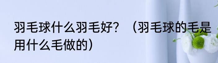 羽毛球什么羽毛好？（羽毛球的毛是用什么毛做的）
