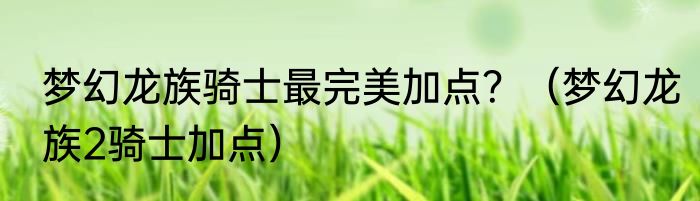 梦幻龙族骑士最完美加点？（梦幻龙族2骑士加点）