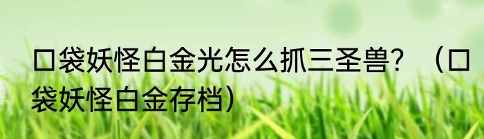 口袋妖怪白金光怎么抓三圣兽？（口袋妖怪白金存档）