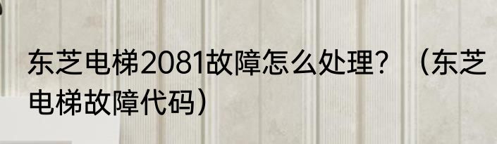 东芝电梯2081故障怎么处理？（东芝电梯故障代码）