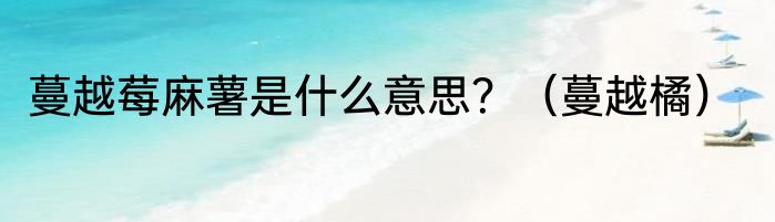 蔓越莓麻薯是什么意思？（蔓越橘）