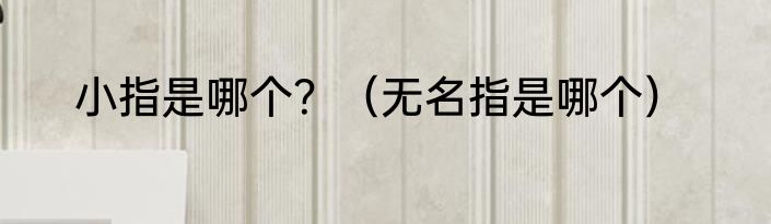 小指是哪个？（无名指是哪个）