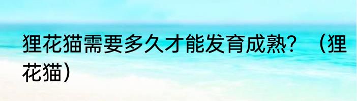 狸花猫需要多久才能发育成熟？（狸花猫）