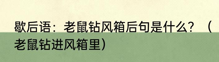 歇后语：老鼠钻风箱后句是什么？（老鼠钻进风箱里）