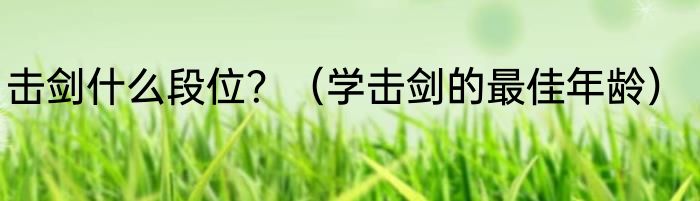 击剑什么段位？（学击剑的最佳年龄）