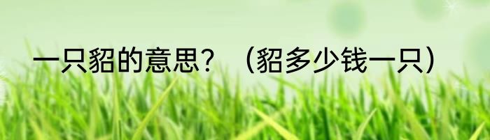 一只貂的意思？（貂多少钱一只）