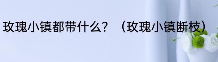 玫瑰小镇都带什么？（玫瑰小镇断枝）