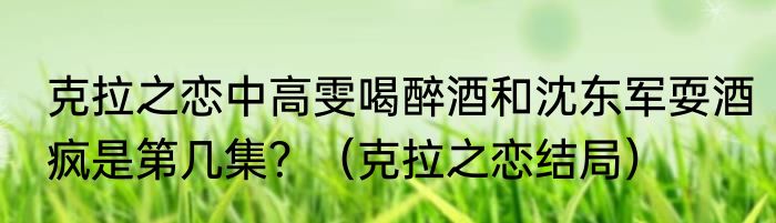 克拉之恋中高雯喝醉酒和沈东军耍酒疯是第几集？（克拉之恋结局）