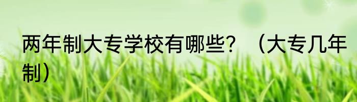两年制大专学校有哪些？（大专几年制）