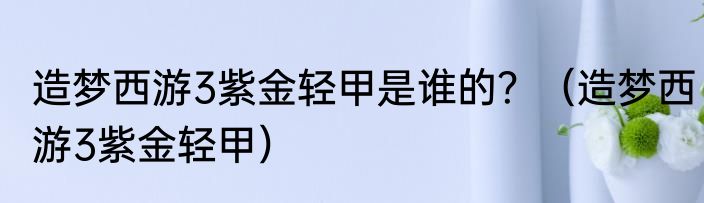 造梦西游3紫金轻甲是谁的？（造梦西游3紫金轻甲）