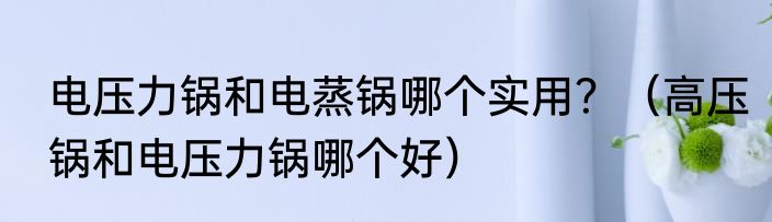 电压力锅和电蒸锅哪个实用？（高压锅和电压力锅哪个好）