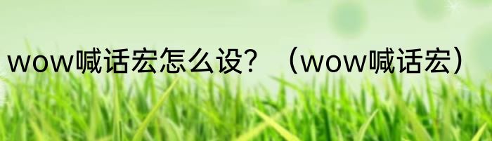 wow喊话宏怎么设？（wow喊话宏）