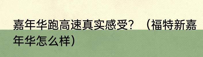 嘉年华跑高速真实感受？（福特新嘉年华怎么样）