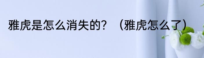 雅虎是怎么消失的？（雅虎怎么了）