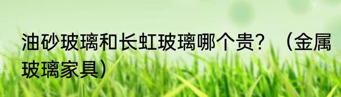 油砂玻璃和长虹玻璃哪个贵？（金属玻璃家具）