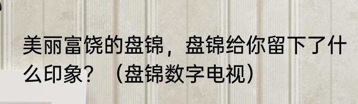美丽富饶的盘锦，盘锦给你留下了什么印象？（盘锦数字电视）