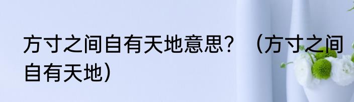 方寸之间自有天地意思？（方寸之间自有天地）