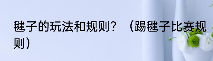 毽子的玩法和规则？（踢毽子比赛规则）