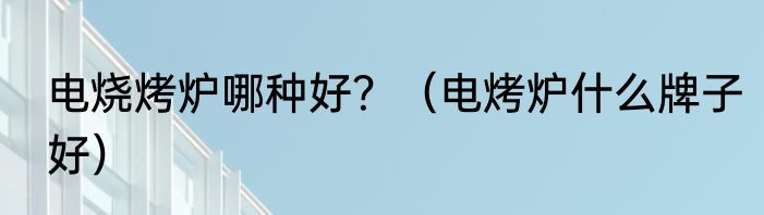 电烧烤炉哪种好？（电烤炉什么牌子好）
