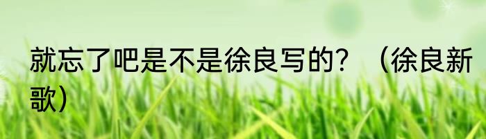 就忘了吧是不是徐良写的？（徐良新歌）