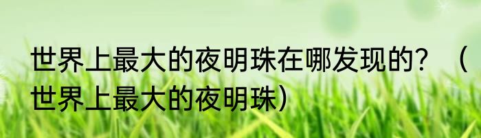 世界上最大的夜明珠在哪发现的？（世界上最大的夜明珠）