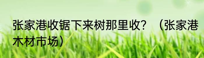 张家港收锯下来树那里收？（张家港木材市场）