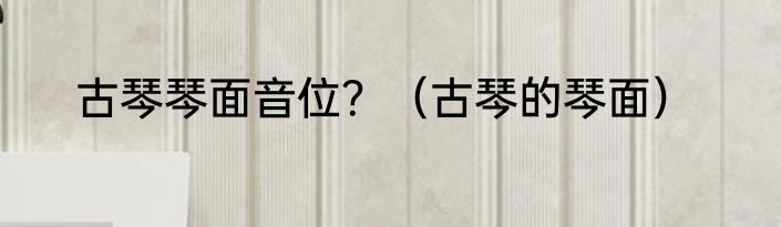 古琴琴面音位？（古琴的琴面）