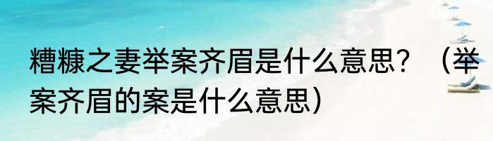 糟糠之妻举案齐眉是什么意思？（举案齐眉的案是什么意思）