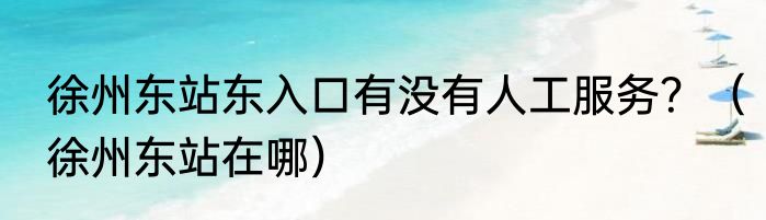 徐州东站东入口有没有人工服务？（徐州东站在哪）