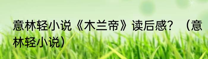 意林轻小说《木兰帝》读后感？（意林轻小说）