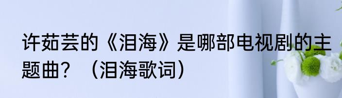 许茹芸的《泪海》是哪部电视剧的主题曲？（泪海歌词）
