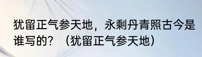 犹留正气参天地，永剩丹青照古今是谁写的？（犹留正气参天地）