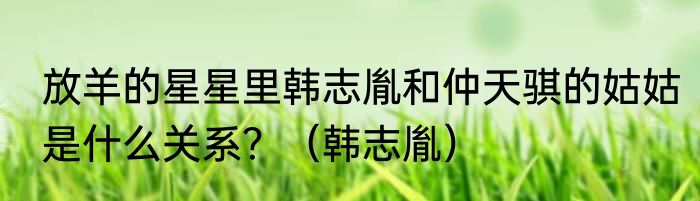 放羊的星星里韩志胤和仲天骐的姑姑是什么关系？（韩志胤）